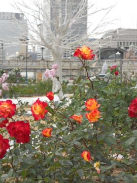 �`���[���X�g��