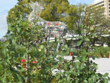 �Ԏ���J�b�g���Ă���R�[�i�[