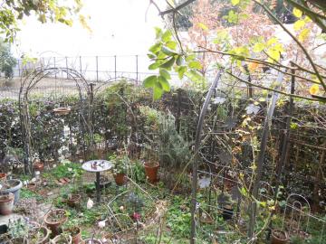 �����̃}�C�K�[�f��