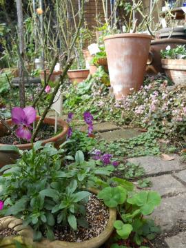 �r�I���Ɩ؃o��