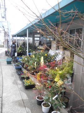 �Q�����̓�