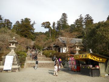 ���������ƍL��