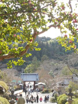 ����̎Q��