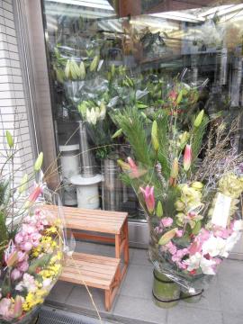 �s���̉ԉ�����