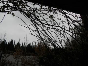 �X�e���O���C�̗U��