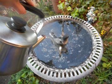 �₩��̂����ŕX��n����