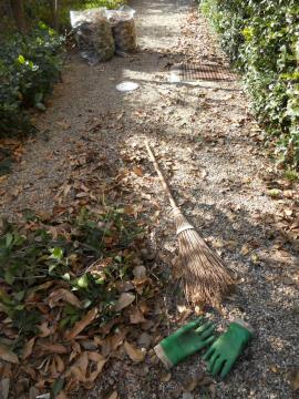 �����t����