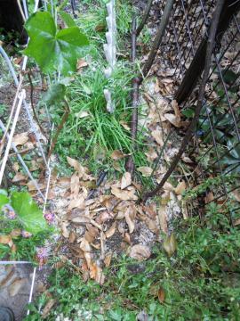 �Ăʂ����L�@���}���`���O