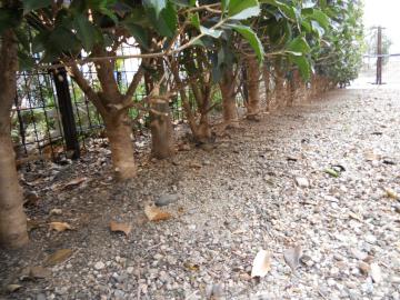 ���ڂ����_���̑���