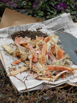 �����V������