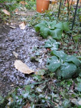 �W�L�^���X�Ɛ�