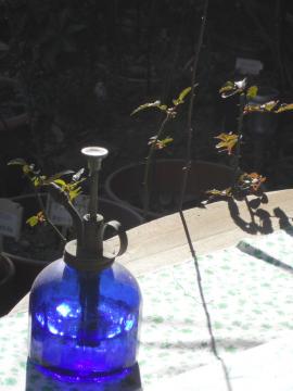 �킩���Ă�2�N�ڂ̃A�C�X�o�[�O�ƃX�e���O���C