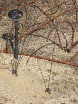 �X�C�[�g�h���[��