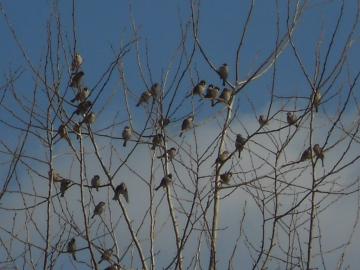 �H�ׂĂ��܂����X�Y������