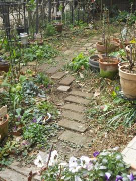 ���֌�������