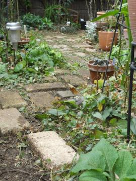 �o�[�h�o�X�̌�납�琼�֌�������