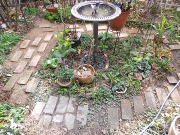 �o�[�h�o�X����