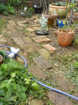 �����ꂽ�����K�̕~������