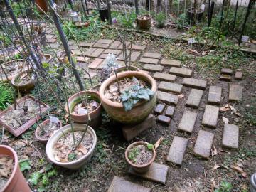 �������猩���Ƃ���