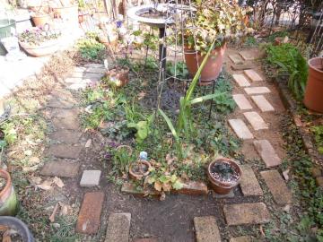 �ߌ�̃o�[�h�o�X