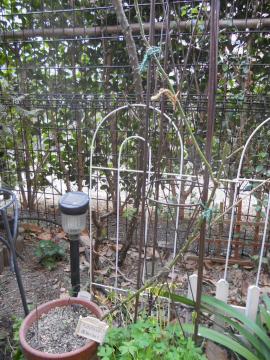 �킩�������A���N���E�H���^�[