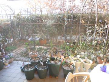 �����̒���