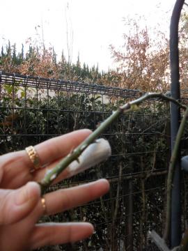 �A���L�~�X�g�̂Ƃ��ƕ������������w