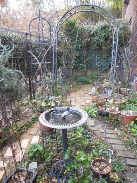 �o�[�h�o�X���琼�̒�