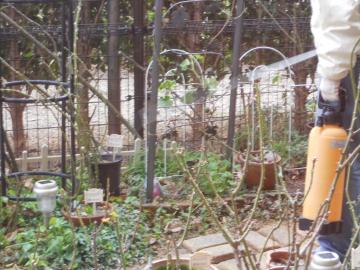 �������܎U�z