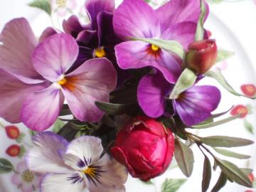 �����Ɏ������񂾍Ō�̂ڂ݁@�ӂ���