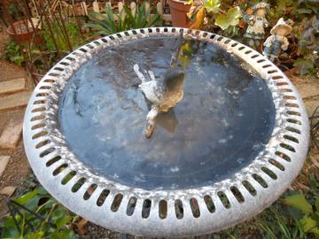 ��܂œ������@�o�[�h�o�X