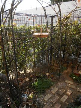 �A�[�`���́@�o�[�h�o�X���B�B�B