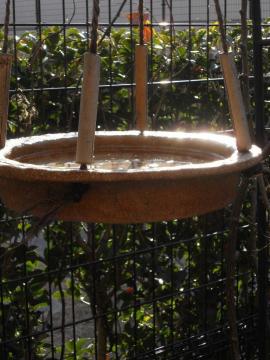 �Z�L���C���@���ɗ����̂Ł@�����ŗn�������o�[�h�o�X