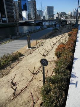 �쉈���̙���