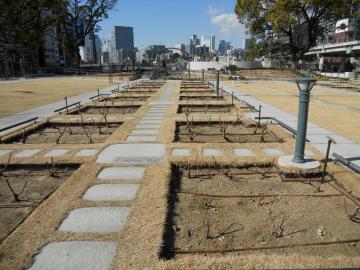 �t���ψꖇ�������炸