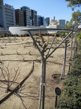 �X�^���_�[�h�d���Ă̙���