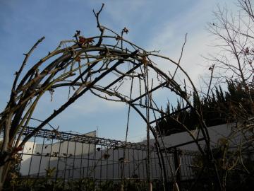 �����T�[������������グ��