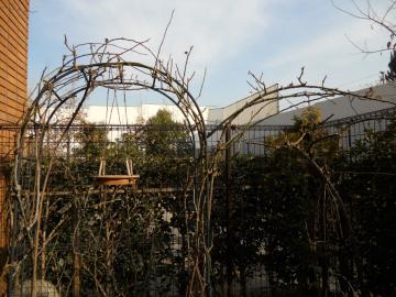 �����T�[���_�u���A�[�`