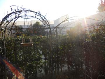 ���̏o�ƂƂ���