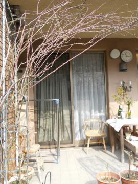 �A���X�^�[�X�e���O���C�̎}�����܂Ƃ߂�