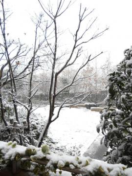 �J�[�e�����J����Ɓ@�ʐ��E�@�I