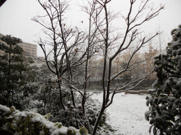 �ǂ������Ă��@�␢�E�I