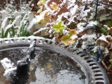 �o�[�h�o�X�ɂ��@�Ⴊ�B�B�B