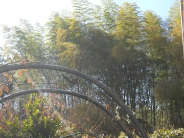 �u�₩�Ȓ���