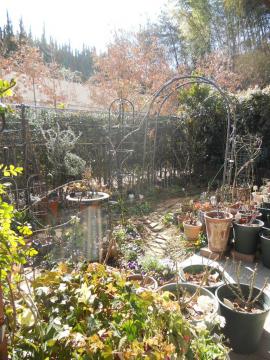 ���邢����