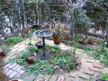 �o�[�h�o�X����