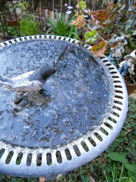 �X�̒�������