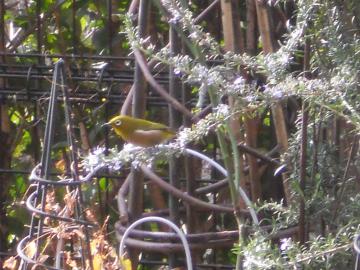 ������t�Ŕ�ы��郁�W��