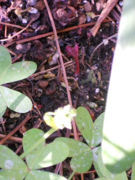 �A�X�`���x