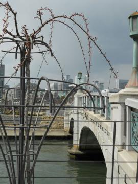 �X�_���_�[�h�d����